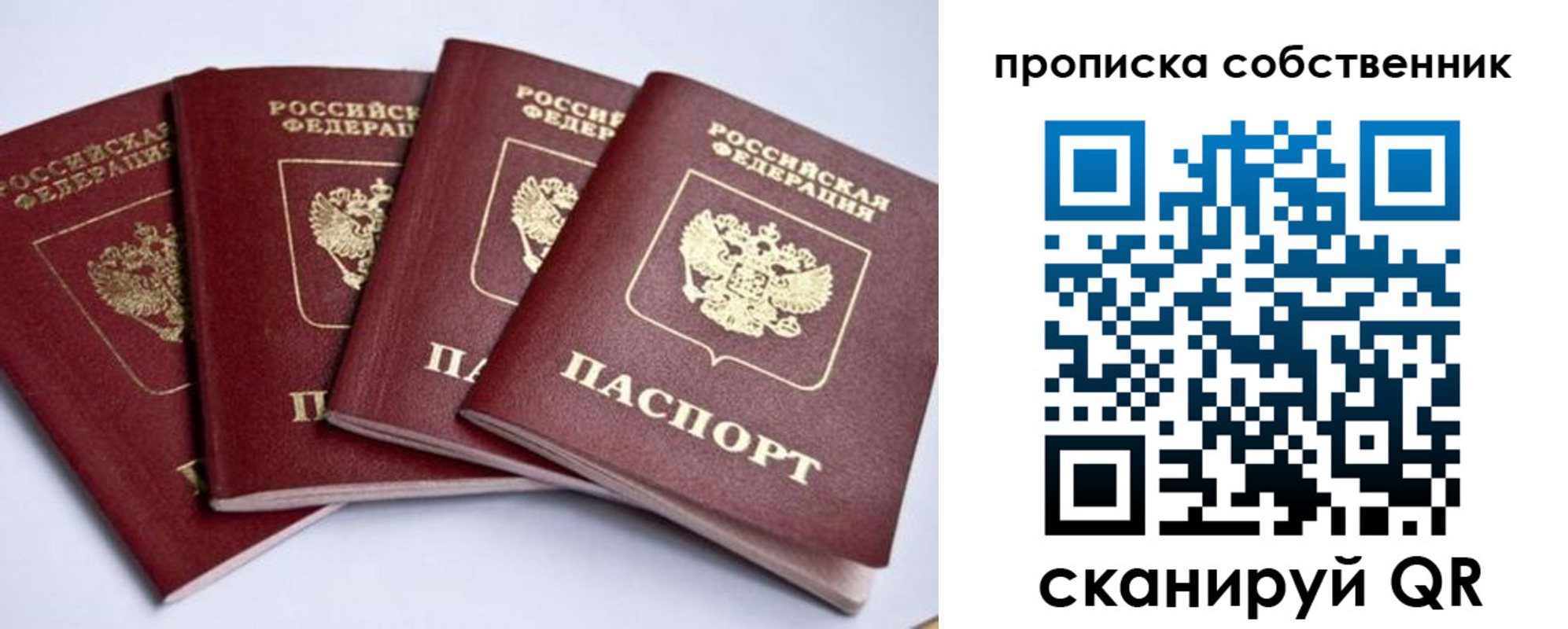 прописка для школы в Порхове