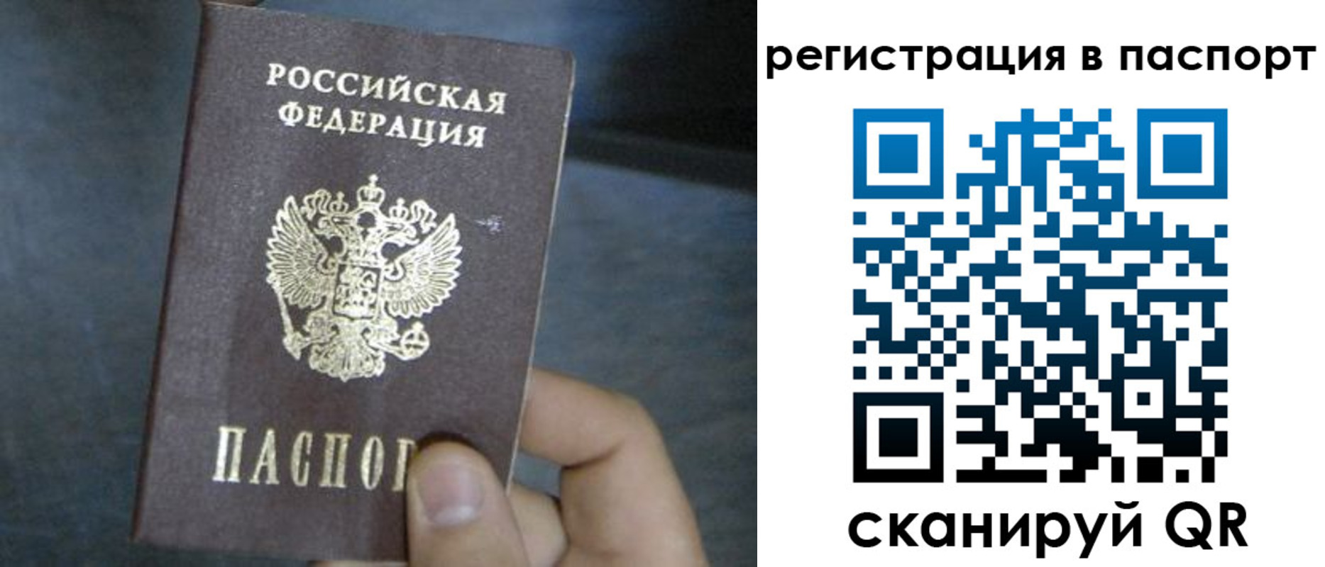 прописка 2025 в Порхове
