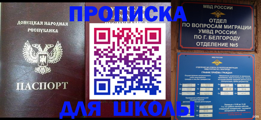 прописка для работы в Порхове